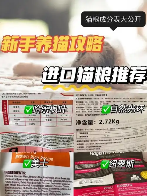 保护猫咪眼睛~-真实用粮感受(内附实拍)-哈乐枫叶(价格38/斤