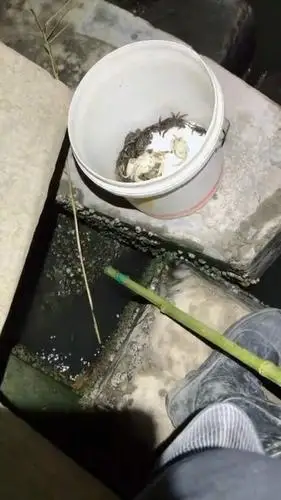 大晚上钓龙虾 就这么不给面子吗