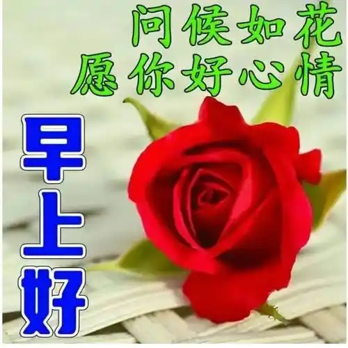 原创二月初一开门迎福28句暖心问候愿你事事顺意好运连连