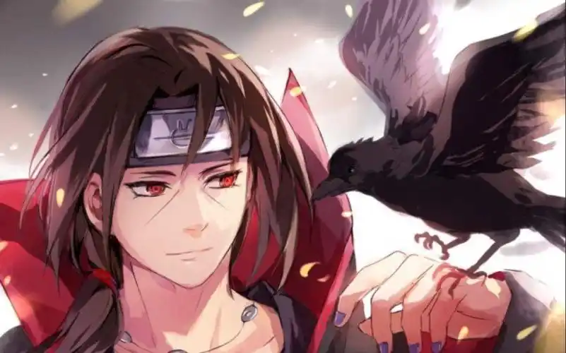 火影里鼬神人品如何