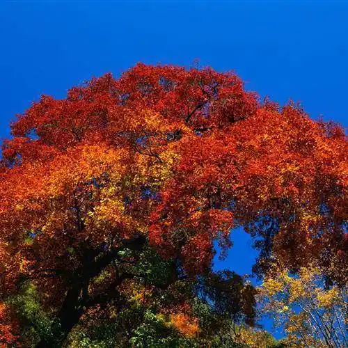 大自然的美干净治愈山水风景微信头像图片2022最新款_导读_标题_文章