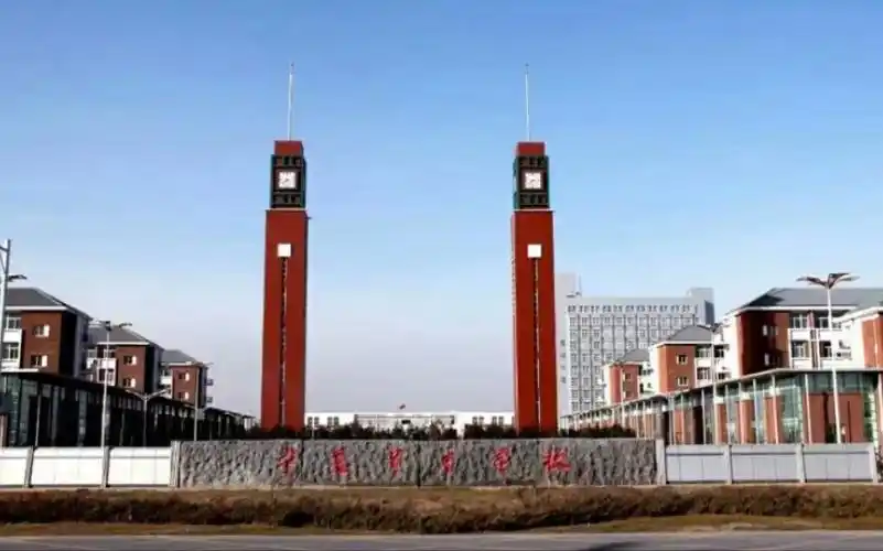 活动作品宁夏育才中学2017届