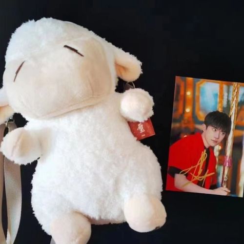 易烊千玺亲笔签名小羊斜挎包亲签保真粉丝应援周边产品收藏无印刷【15