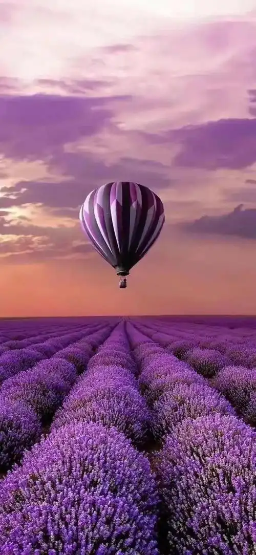 全面屏唯美壁纸(3)_网易订阅