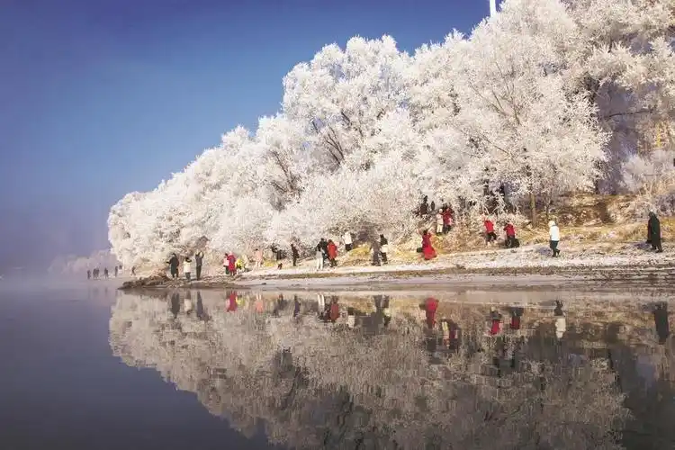 观雾凇美景 赏北国风光|吉林市_新浪财经_新浪网