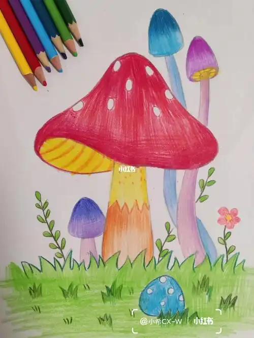 彩铅画彩铅初学蘑菇植物