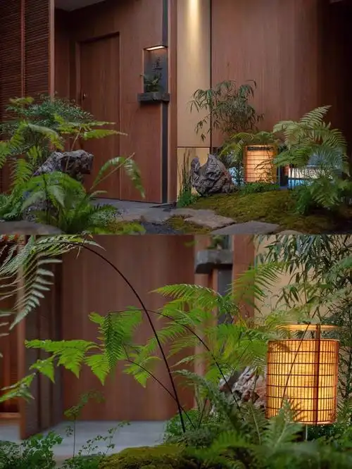 花园设计  #庭院设计  #景观  #景观设计  #园林景观  #室内植物