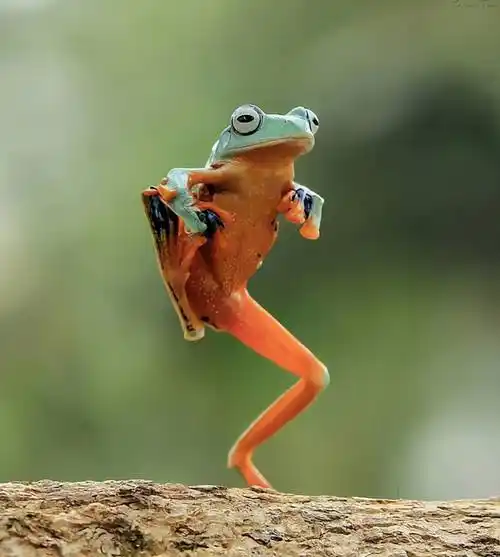 原创这些照片你别再点赞了每个镜头背后都是冷漠的利益算计