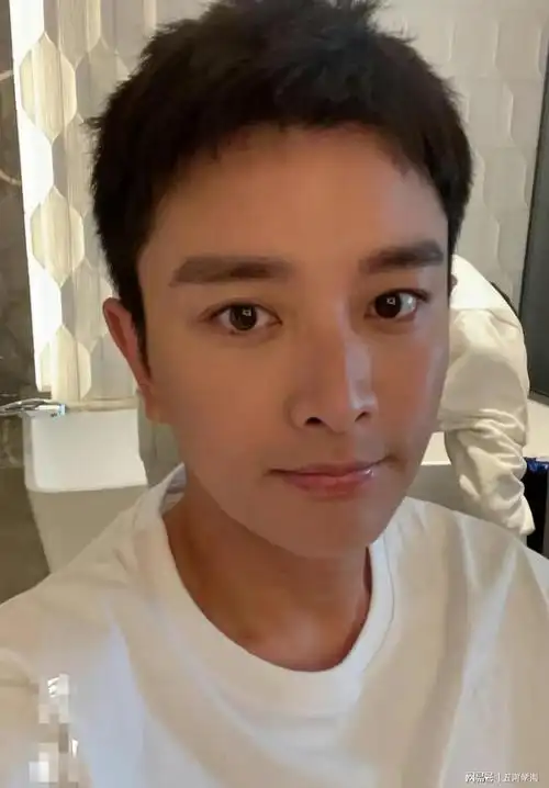 贾乃亮,引发热议!|瓜子|零食|极限挑战|综艺节目_网易订阅