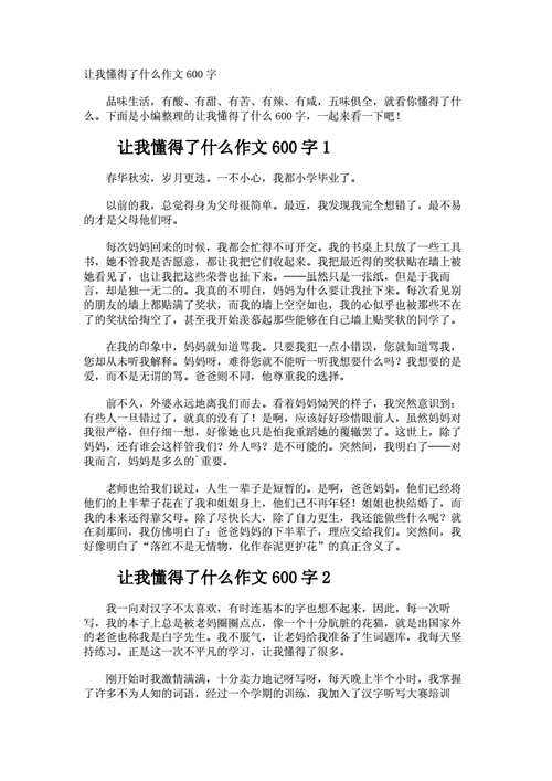 让我懂得了什么作文600字.docx