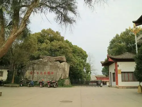 中国茶花文化园