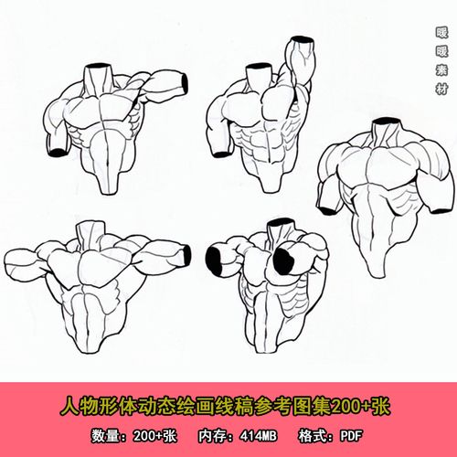 人物形体动态线稿图集200 张 四肢手足躯干临摹线稿素材jx065f