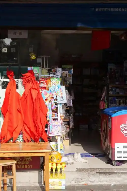 小时候最喜欢的小卖部,你还记得吗?童年小卖部带着"回忆杀"来了→|奶