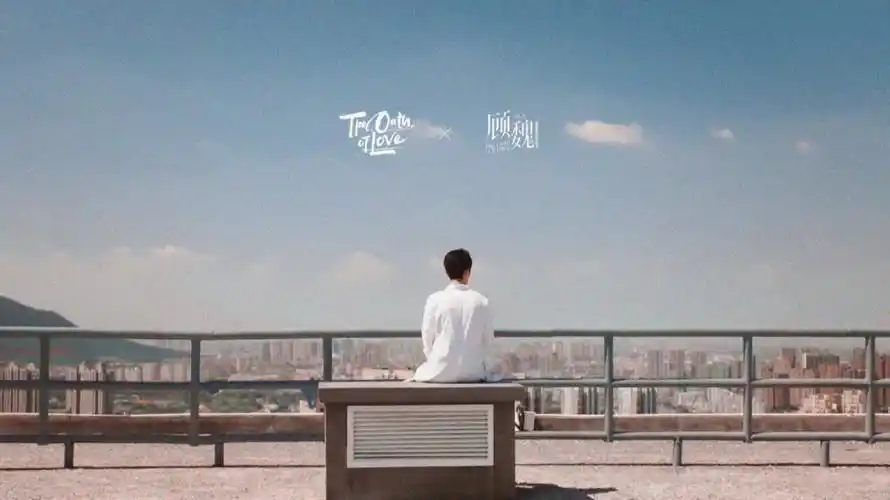 肖战顾魏余生请多指教