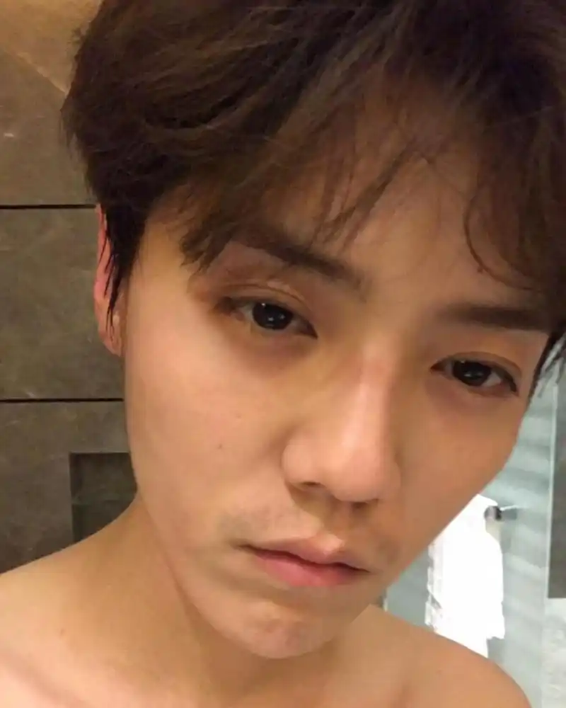 鹿晗ins更新晒素颜自拍是猫狗双全的宠物富翁