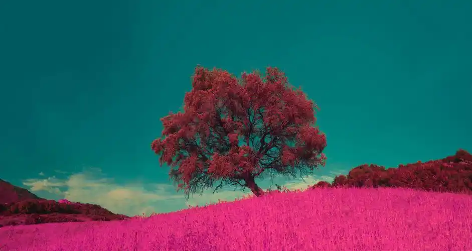 有没有清晰度超高的4k8k壁纸