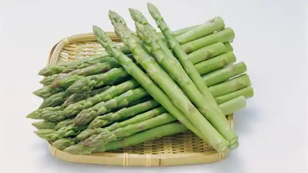 芦芽就是芦苇长出的新芽,也叫芦苇芯,初长的芦芽