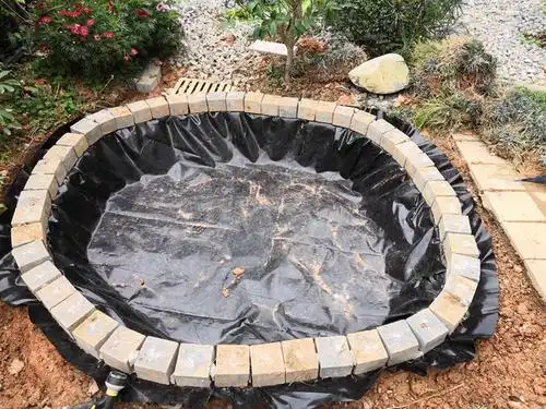 自建鱼池,在农村花最少的钱建最实用的鱼池