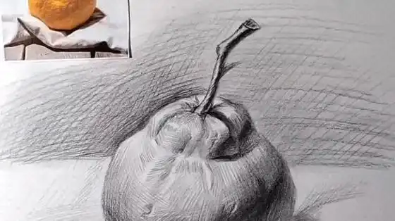 简单易学的素描静物丑橘画法