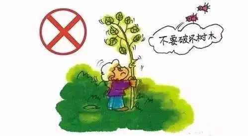 不乱扔纸屑,果皮