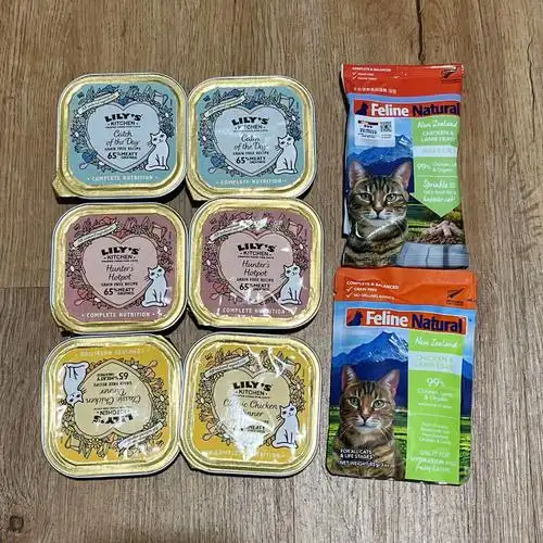 上一秒还在拍新罐罐下一秒猫就沾一屁股屎