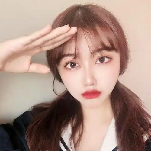 双马尾丸子头女头