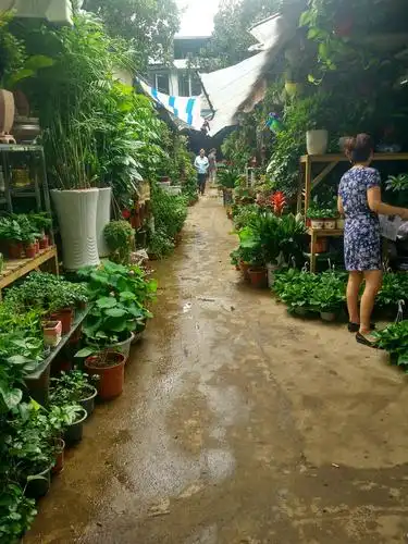 记忆里的花鸟市场