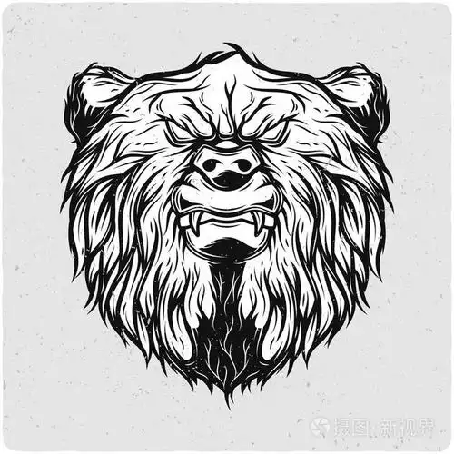 黑白插图.光背景与垃圾噪声和框架隔离