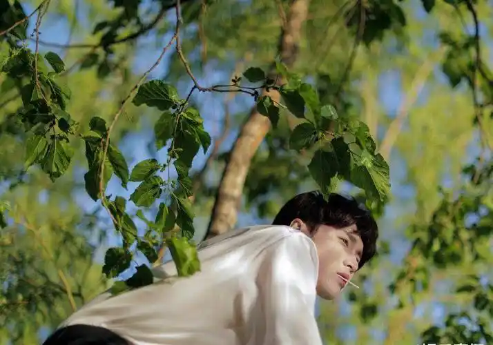 张艺兴《gq》1月刊封面大片,夏日里的明朗少年,有花有草有阳光_自然