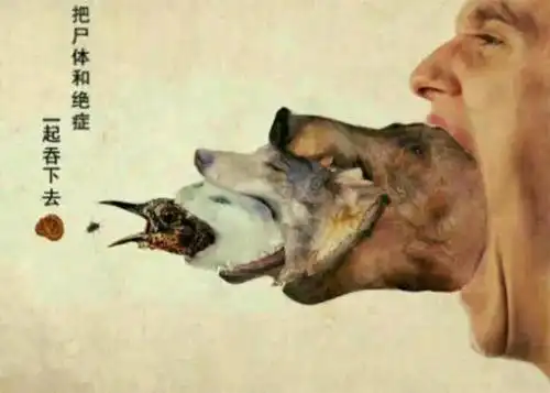 世界上最厉害的果报就是杀生宣化上人