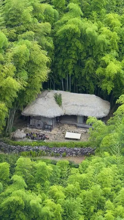 忽有故人心上过,回首山河已是秋.#竹林深处 #隐居 #风景