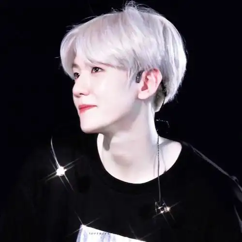 边伯贤头像第八弹