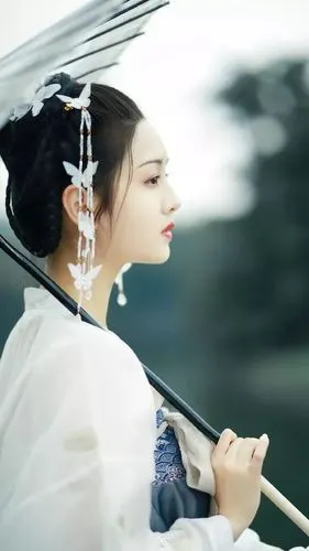 美人壁纸千秋无绝色悦目是佳人倾国倾城貌惊为天下人