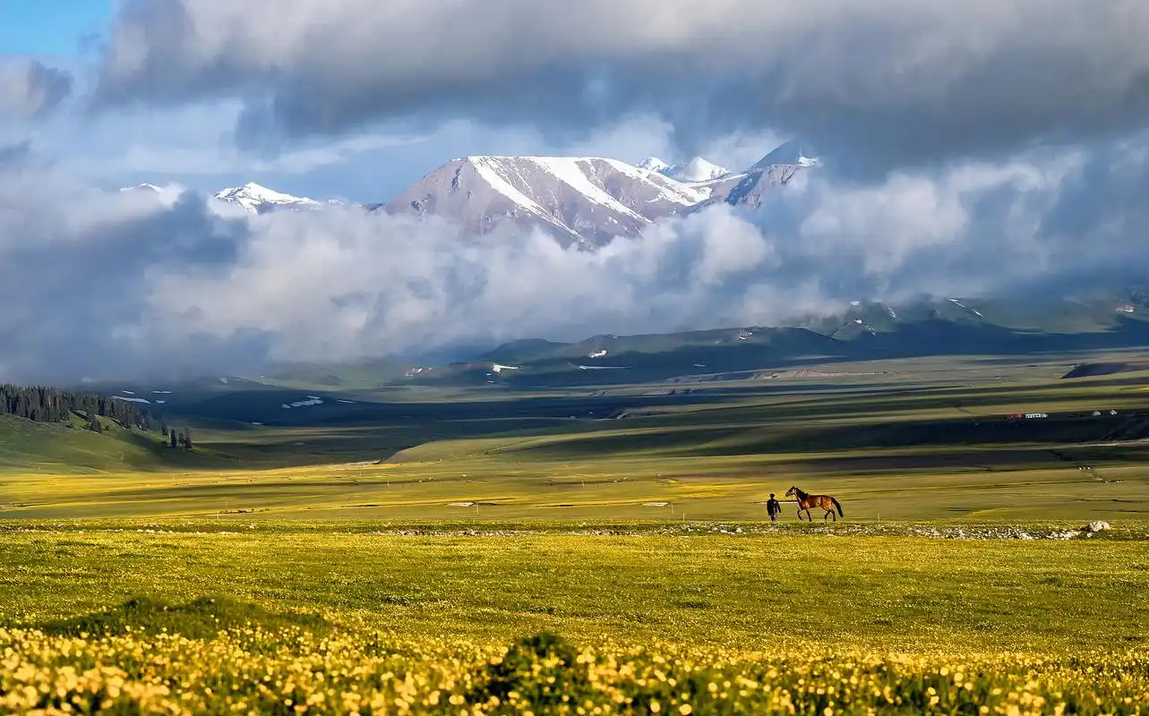 忽然掉入人间的天堂︱喀拉峻 新疆伊犁喀拉峻大草原是典型的山地草甸