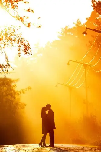 在黄昏的树林下接吻的情侣高清图片