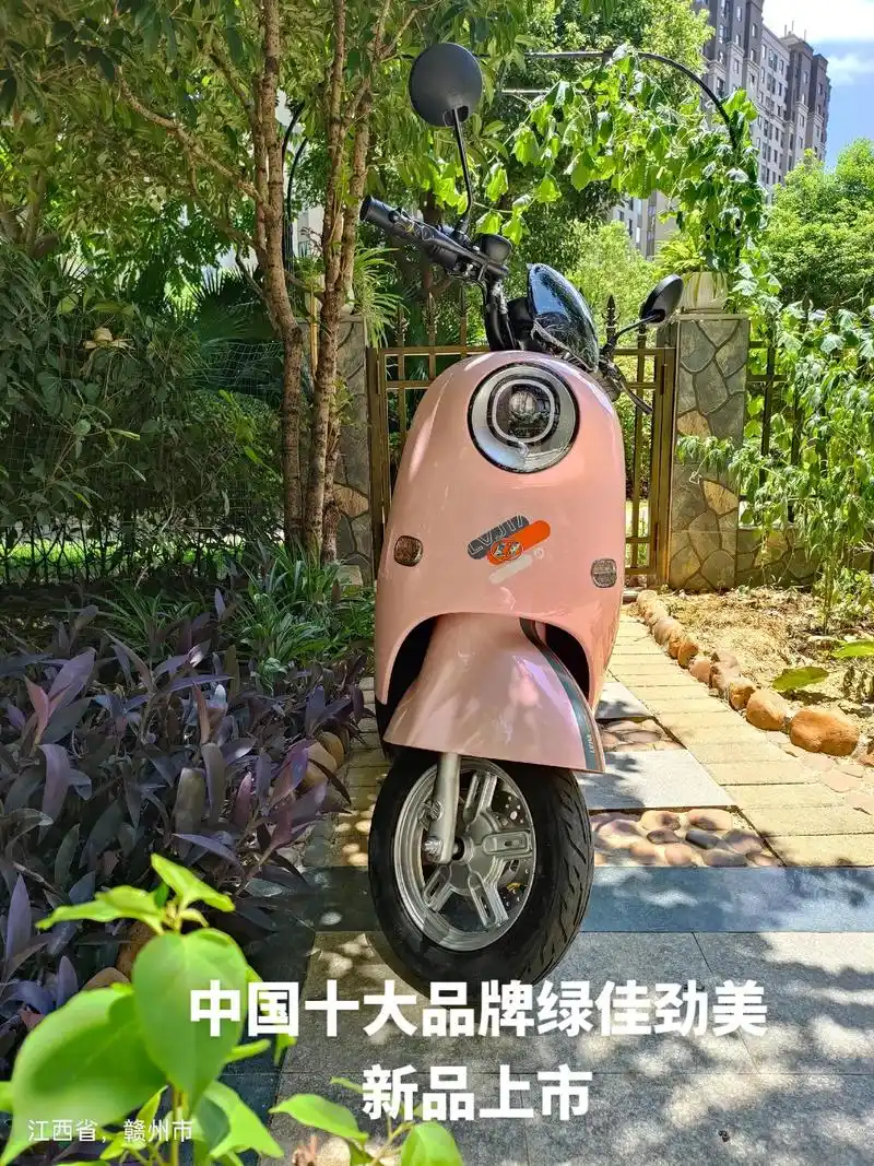 中国十大品牌绿佳电动车,绿佳劲美,新款上 - 抖音