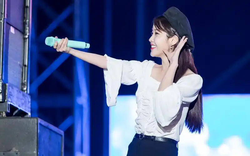 【iu 李知恩】演唱会歌曲应援教学小汇总