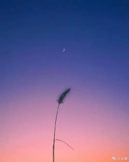 2021朋友圈很火的语录选一句送给自己