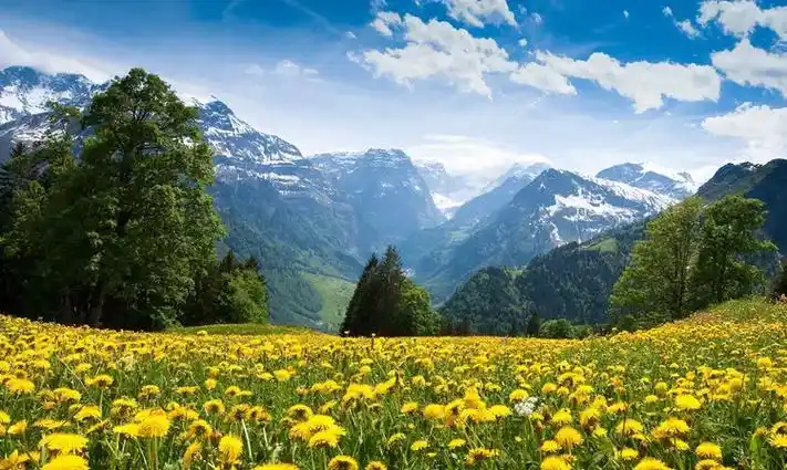 哪3生肖下半年会有好运守护,福气飙升中奖发横财,日子大富特富