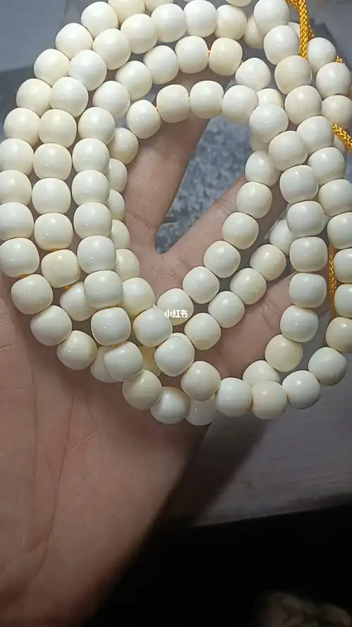 收藏级野猪牙门牙