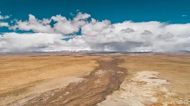 玫瑰带刺,美丽的地方也会可怕,尤其当你不小心进入了可可西里无人区