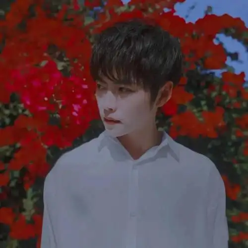 头像壁纸咒术回战送你一朵小红花肖宇梁