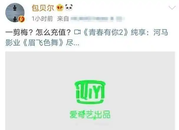 筷子兄弟王太利的女儿王婉辰也参加了这季节目,但她的初评级舞台很