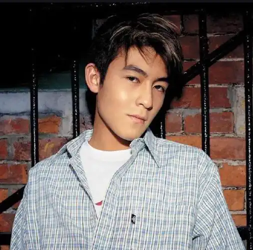 真没觉得陈冠希有多帅(陈冠希年轻时有多自信)(4)