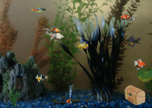 600_429gif 动态图 动图