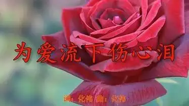 一首为爱流下伤心泪唱得撕心裂肺送给最爱的你