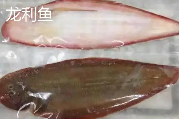 龙利鱼是巴沙鱼吗