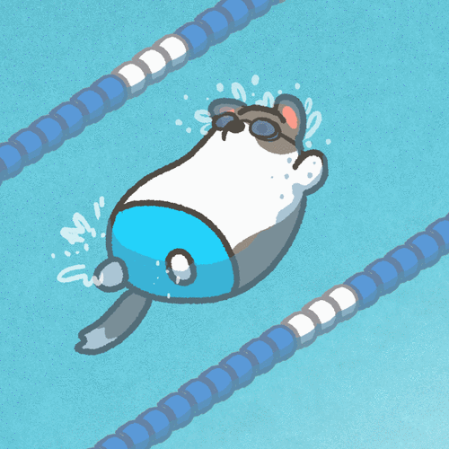 努力游泳的小柯基|表情包动图