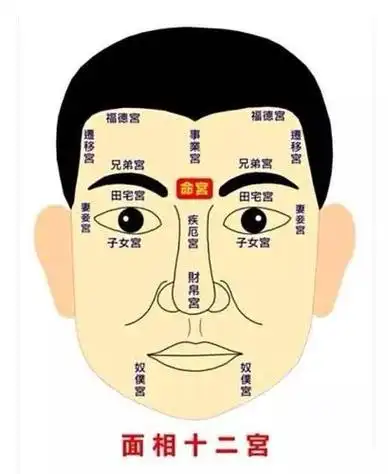 第七宫(夫妻宫)位于十二星座的位置分析