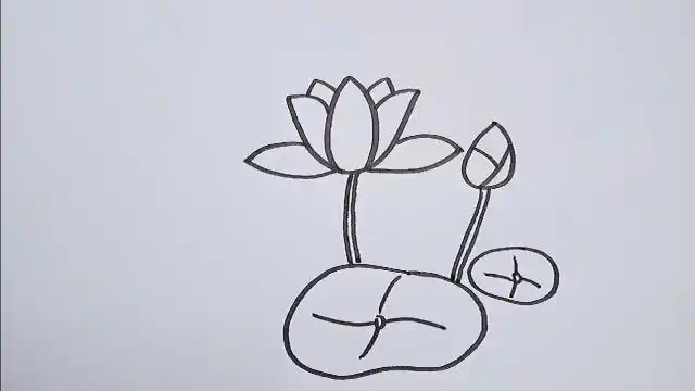 简单画荷花
